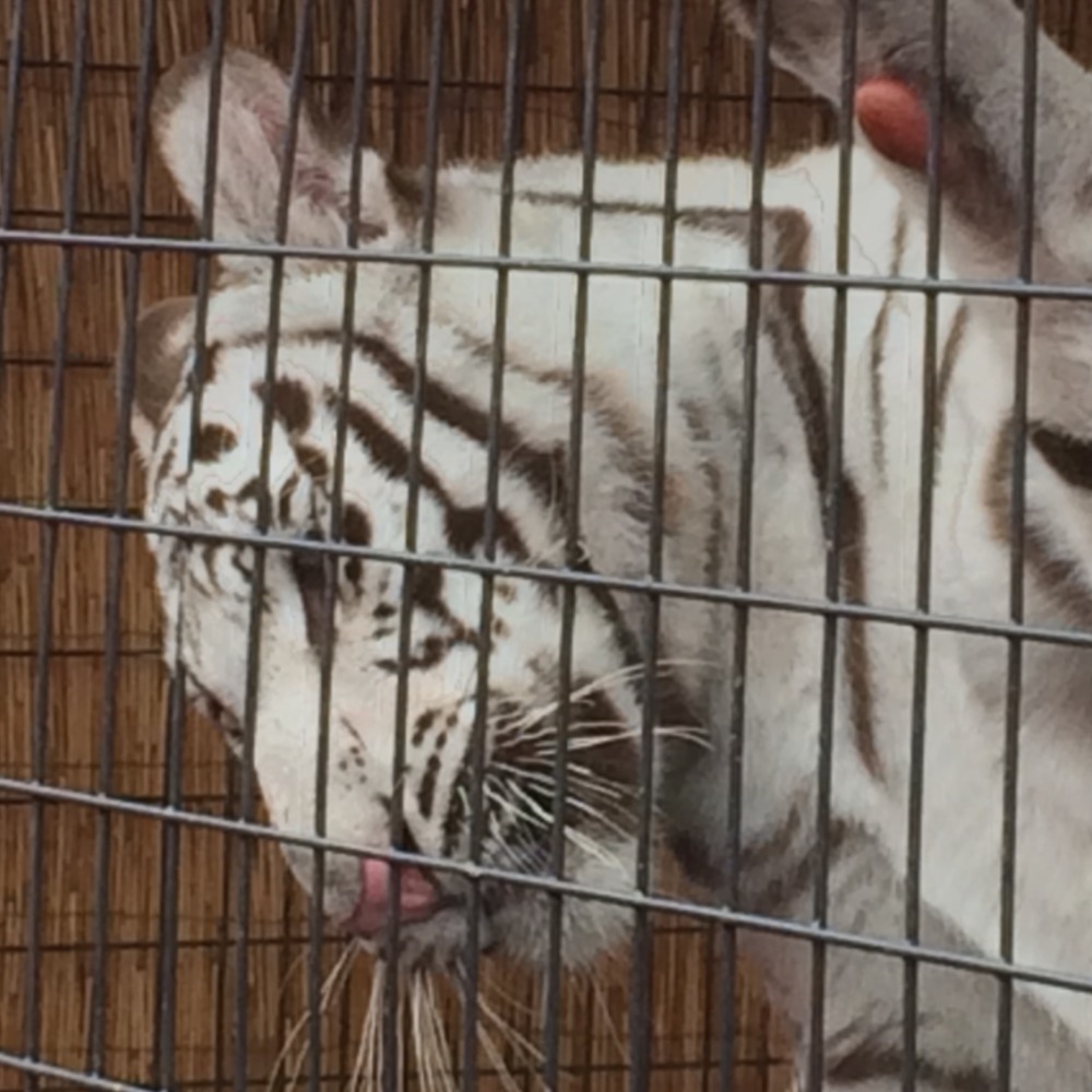 Meet your Posher, Vicki